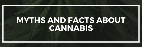 myths and facts about cannabis